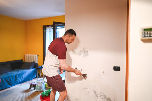 Best Residential Mold Removal  in Glenwood Springs, CO